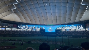 写真①
